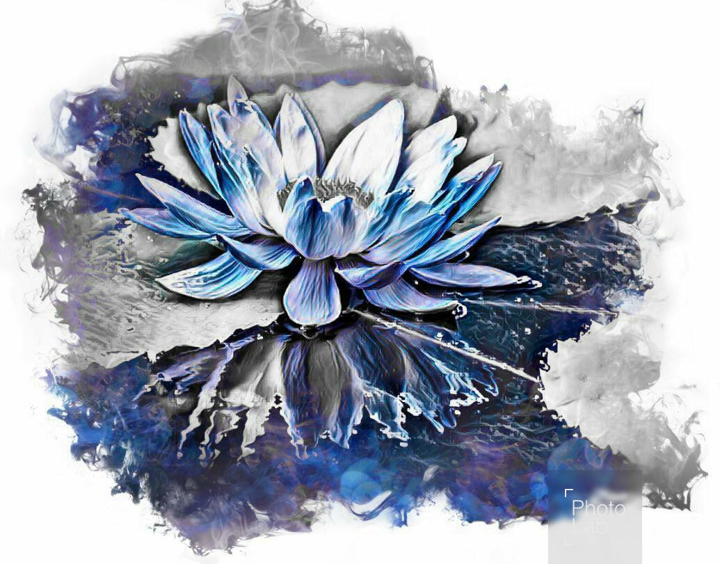 photo bracelet lotus