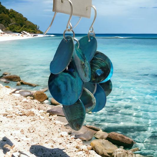 raw shell earrings